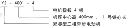 YR系列(H355-1000)高压ZSN4-280-22B三相异步电机西安西玛电机型号说明